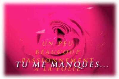 tu me manque